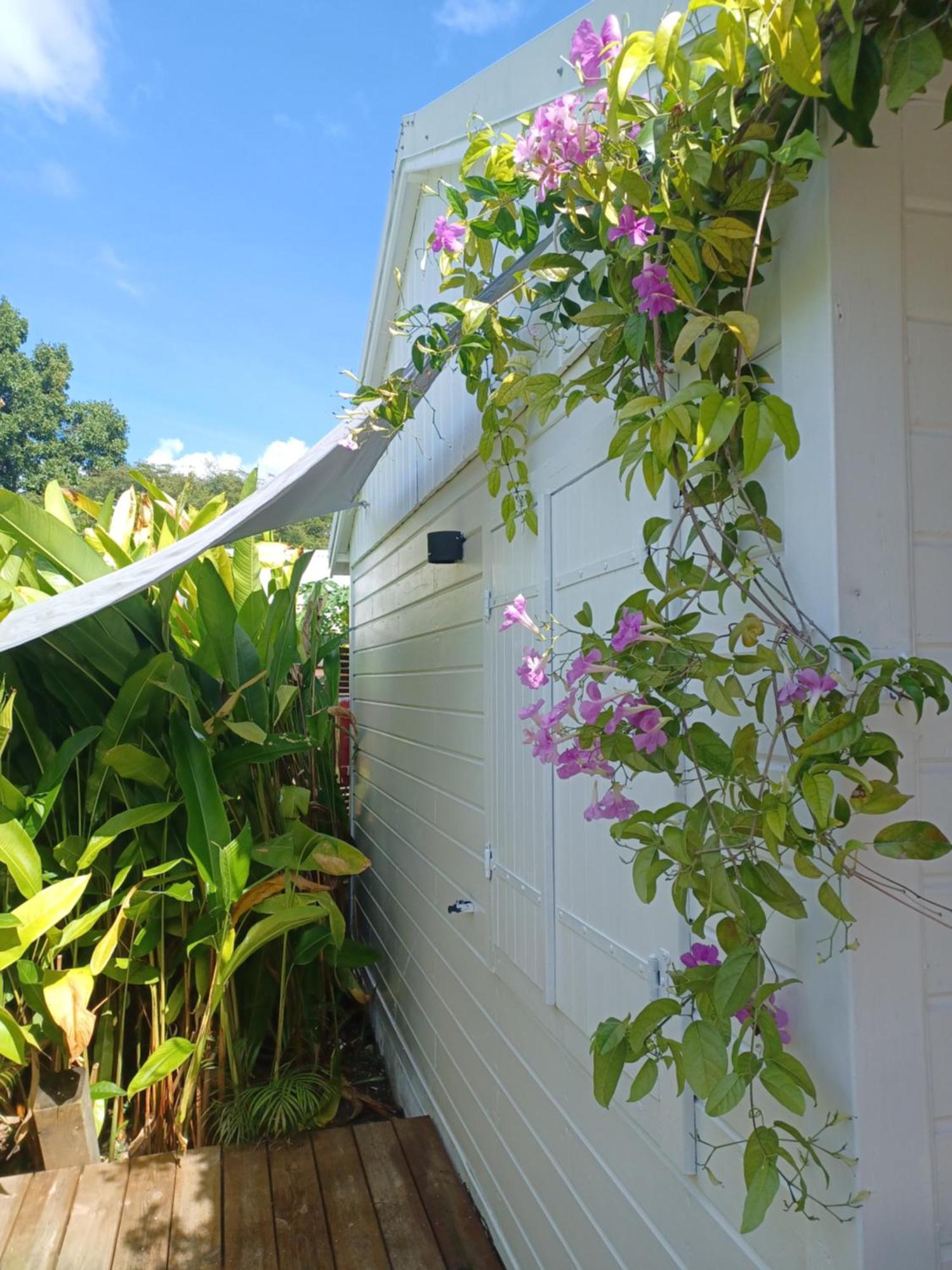 Charmant Bungalow Coco Sainte-Anne  Εξωτερικό φωτογραφία