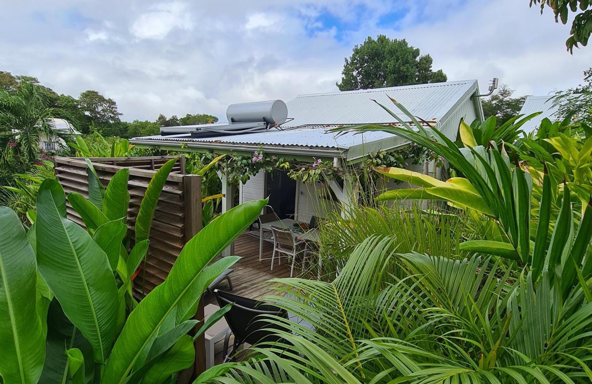 Charmant Bungalow Coco Sainte-Anne  Εξωτερικό φωτογραφία