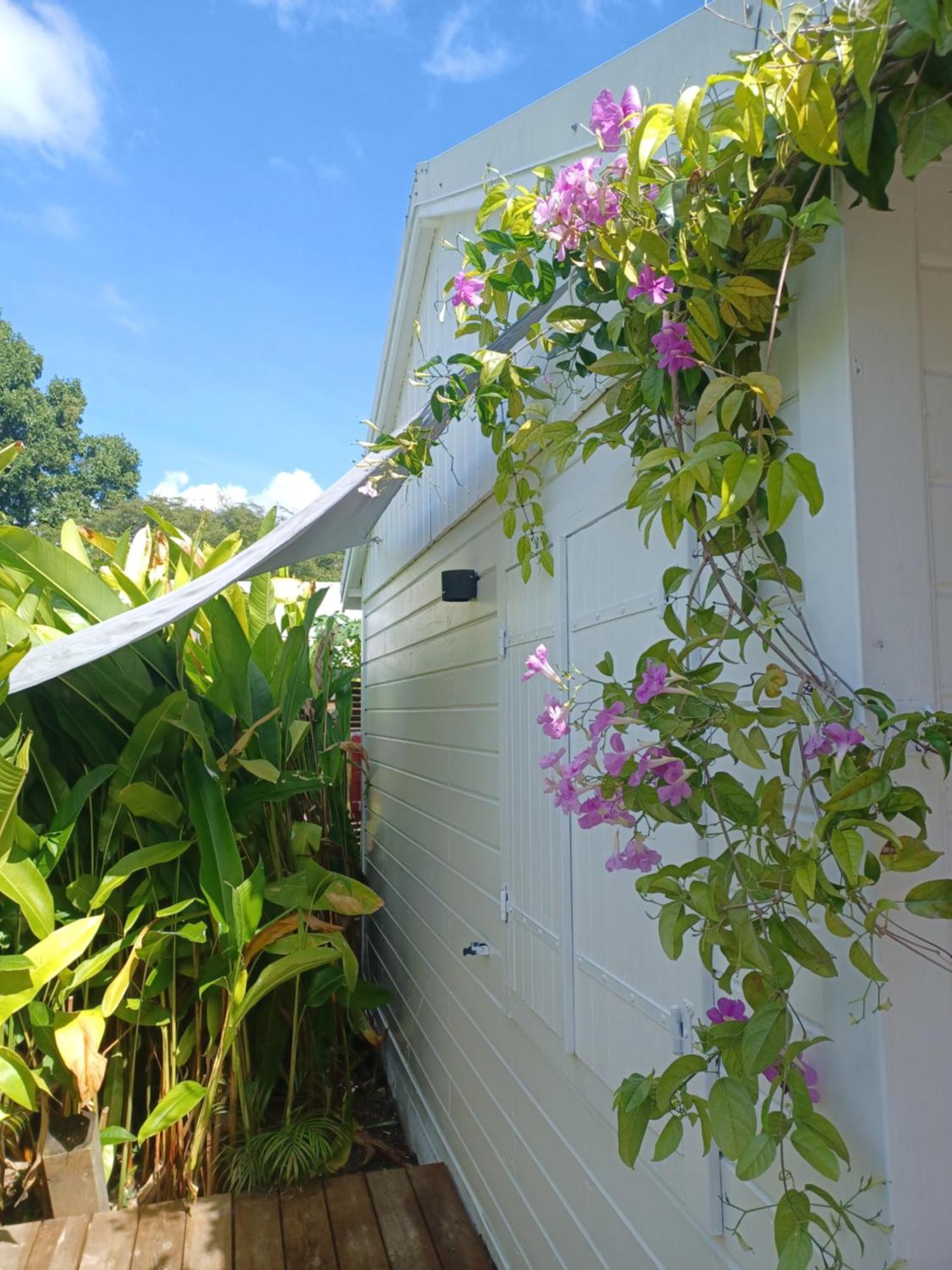 Charmant Bungalow Coco Sainte-Anne  Εξωτερικό φωτογραφία