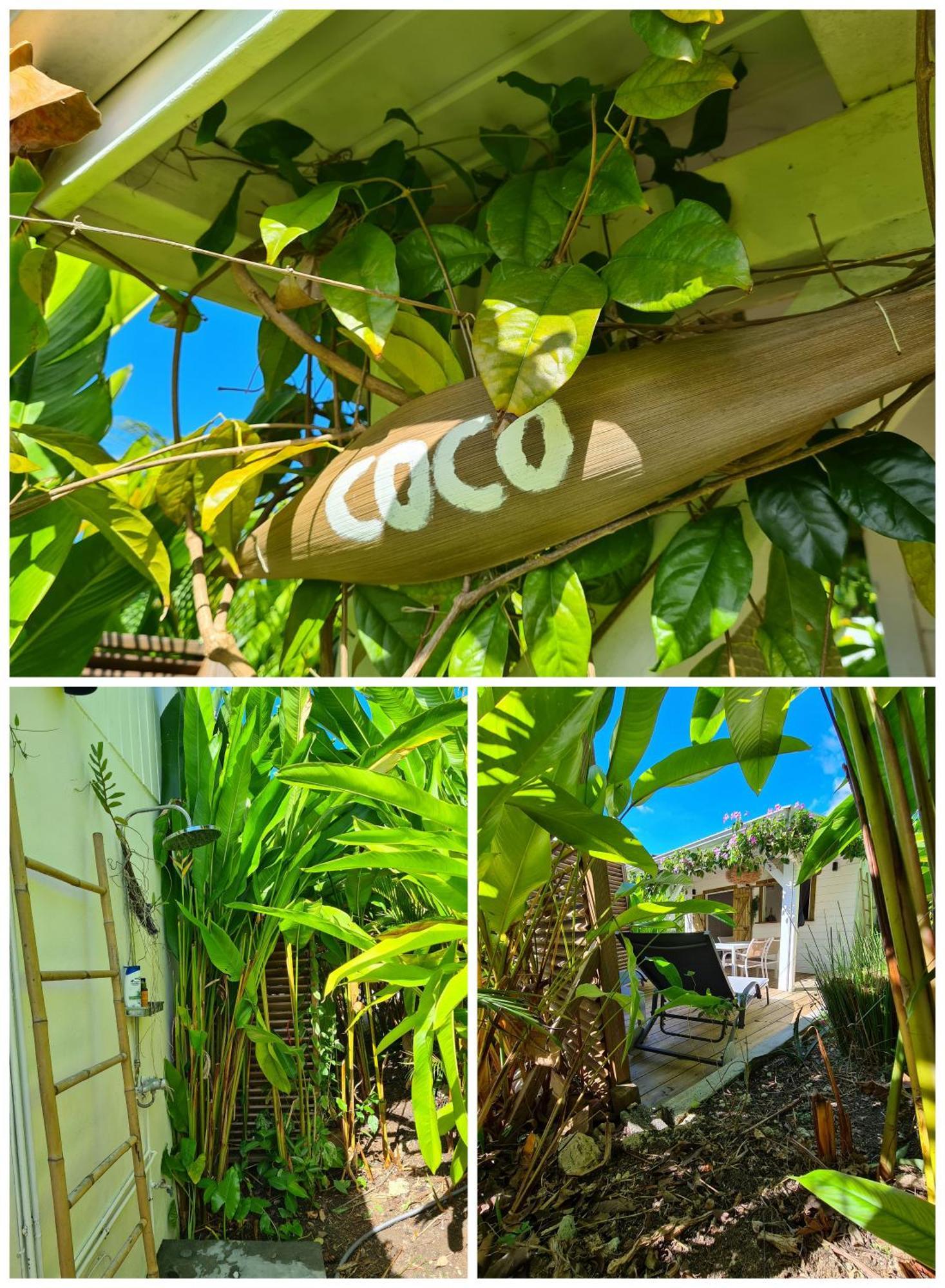 Charmant Bungalow Coco Sainte-Anne  Εξωτερικό φωτογραφία